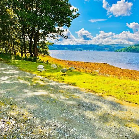 Seal Point Cabin - Luxury Glamping Cairndow Eksteriør bilde